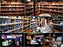 メキシコ蒸留酒の展示数日本一の専門店