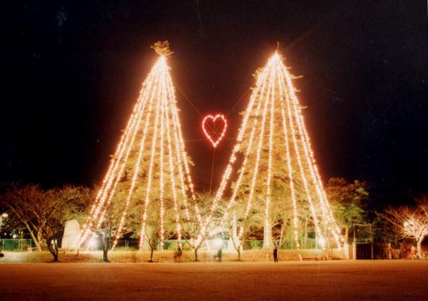 日本一大きなモミの木のクリスマスツリー Nippon 1 Net